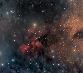 Westerhout 40